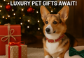 🎄 October Marks the Start of Holiday Shopping Season – Luxury Pet Gifts Await! 🎁🐾