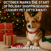 🎄 October Marks the Start of Holiday Shopping Season – Luxury Pet Gifts Await! 🎁🐾
