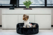 Small dog wearing a sweater sitting on a black plush chic dog bed styles for modern homes in a stylish living room