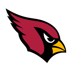 Arizona Cardinals NFL dog jerseys and pet fan gear – official team logo