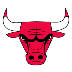 Chicago Bulls NBA dog jerseys and pet fan gear – official team logo