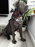 Load image into Gallery viewer, "EROS" BIG dog SET- Harness - collar - lead. Black & Red