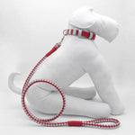 Loop Dog Leash