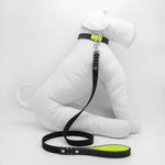 Personalized Scale & Fluo Dog Leash