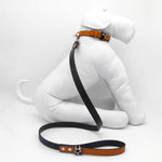 Orange Desert Dog Leash