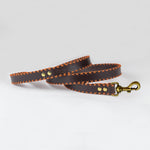 Orange Cross Dog Leash