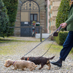 Lilac Desert Dog Leash