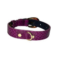 Load image into Gallery viewer, XS/S 7-14 Purple Custom Snake Collar/Custom Gold Oval Italian Hardware by Allysa Payne Beverly Hills