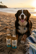Load image into Gallery viewer, Summer Booze Bundle | 4ct