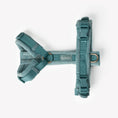 Load image into Gallery viewer, Blue - Velvet Dog Harness