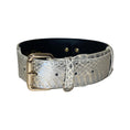 Load image into Gallery viewer, Stunning Silver Snake Classic Collar with Gold Classic Hardware by Allysa Payne Beverly Hills