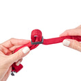 Load image into Gallery viewer, DOGISTRY City Collar - Iconic Red