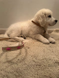 Load image into Gallery viewer, Dog Leashe Pink and Rawhide
