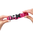 Load image into Gallery viewer, DOGISTRY City Collar - Park Ave Pink