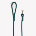 Load image into Gallery viewer, 'Blue' - Braided Rope LeashÂ