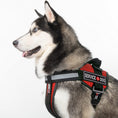 Load image into Gallery viewer, Dogline Service Dog 3D Rubber Patches