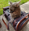 Load image into Gallery viewer, Mr. Peanut's Gold Series Standard Size Airline Compliant Pet Carrier