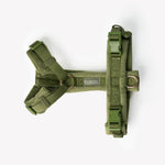 Green - Velvet Dog Harness