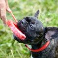 Load image into Gallery viewer, Biothane Service Dog Collar Or Leash