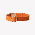 Load image into Gallery viewer, 'Terracotta' - Canvas Dog Collar