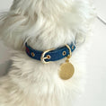 Load image into Gallery viewer, Personalized Collar