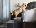 Load image into Gallery viewer, Catry Charcoal 2-in-1 Foldable Pet Stairs