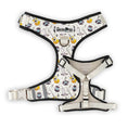 Load image into Gallery viewer, The Modern Dog Company - Music City Harness