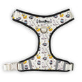 Load image into Gallery viewer, The Modern Dog Company - Music City Harness