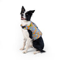 Load image into Gallery viewer, Body Glove Floral Neoprene Pet Life Jacket