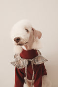 Load image into Gallery viewer, The Heirloom Turtleneck