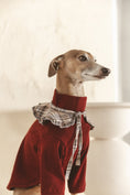 Load image into Gallery viewer, Roux Collar