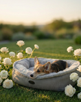 Load image into Gallery viewer, Premium Chester & Lee | Furry Bagel Dog Bed