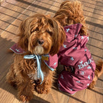 Bespoke Dog Raincoat Pattern