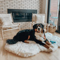 Load image into Gallery viewer, PupRug by Paw.com™ Faux Fur Orthopedic Dog Bed - Curve Polar White
