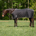 Load image into Gallery viewer, TuffRider Shelter Closed Front HeavyWeight Stable Blanket