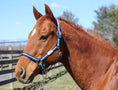 Load image into Gallery viewer, TuffRider Nylon Breakaway Halter & Lead Rope Set - image 23