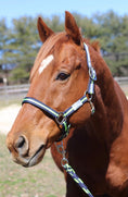 Load image into Gallery viewer, TuffRider Nylon Breakaway Halter & Lead Rope Set - image 34