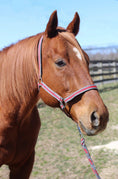Load image into Gallery viewer, TuffRider Nylon Breakaway Halter & Lead Rope Set - image 24