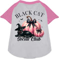 Load image into Gallery viewer, Pink and Black Cat Social Club Pet Raglan Shirt