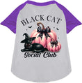 Load image into Gallery viewer, Pink and Black Cat Social Club Pet Raglan Shirt