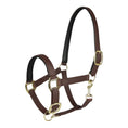 Load image into Gallery viewer, TuffRider EasyCare EquiLeather Heavy Duty Break Away Halter with Brass Plated Fittings - image 2