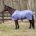 Load image into Gallery viewer, TuffRider Comfy Plus Standard Neck Fly Sheet