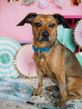 Load image into Gallery viewer, Mona Dog Leash