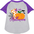Load image into Gallery viewer, My First Halloween Pet Raglan Shirt