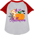 Load image into Gallery viewer, My First Halloween Pet Raglan Shirt