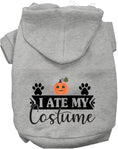 Load image into Gallery viewer, I Ate My Costume Halloween Pet Hoodie