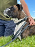 Load image into Gallery viewer, Celtic Sport Blue Jeans Leather Dog Leash