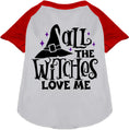 Load image into Gallery viewer, All the Witches Love Me! Pet Raglan Shirt