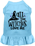 Load image into Gallery viewer, All the Witches Love Me Halloween Pet Dress