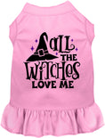 Load image into Gallery viewer, All the Witches Love Me Halloween Pet Dress